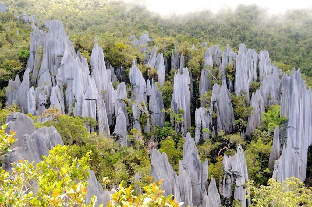 Отель Mulu National Park Экстерьер фото