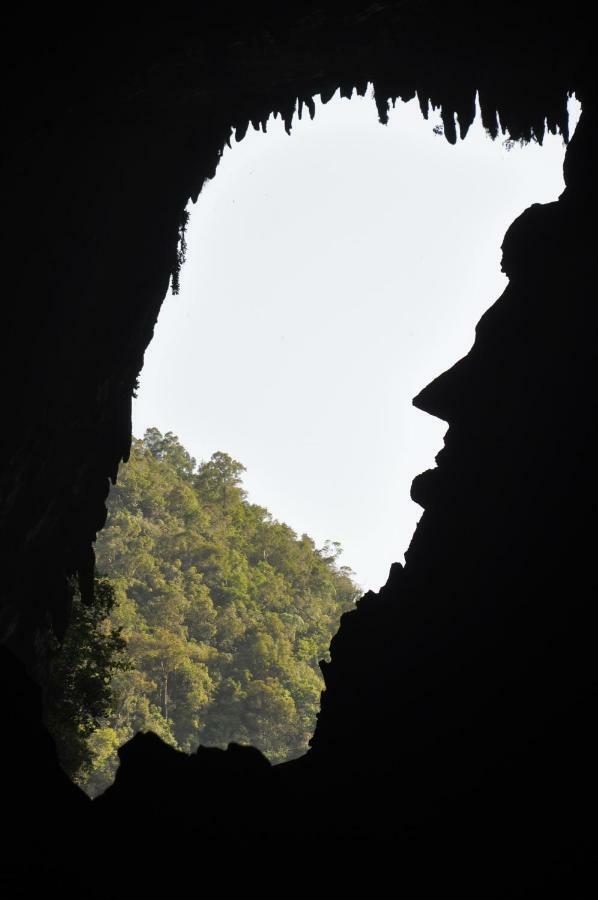 Отель Mulu National Park Экстерьер фото